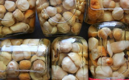 Grzyby marynowane w zalewie słodko-kwaśnej: przepis na łagodną marynatę octową
